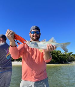 Snook fish caught while fishing in FL