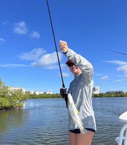 Lone angler fishing in Naples, Florida