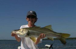 A Snook, a 31-inch big fish, caught while fishing in FL