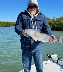 Redfish caught while fishing in Naples Florida