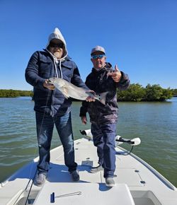 Redfish caught while fishing in Naples, Florida