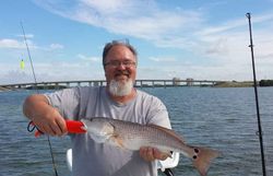 Redfish caught fishing in Naples, Florida