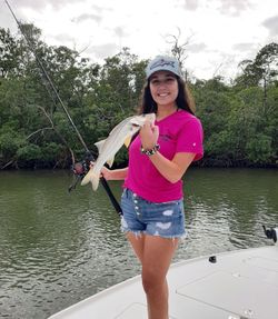 Snook fishing catch on boat in Naples Florida
