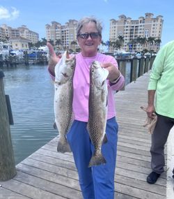 Two speckled trout caught fishing in Naples Florida displayed on wooden dock