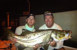 A big snook fish caught by two people fishing in Naples, Florida.