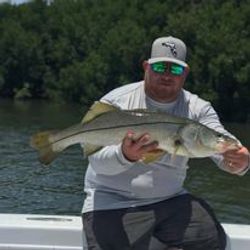 Explore Inshore Fishing Adventures Here, Snook