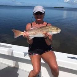 Discover the Magic of Inshore Redfish Fishing