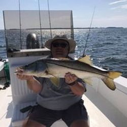 fisherman with 1 big fish caught in FL