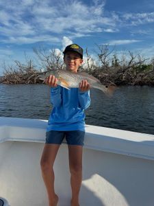 Redfish caught by angler in Fort Myers
