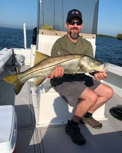 Snook fish caught in Fort Myers