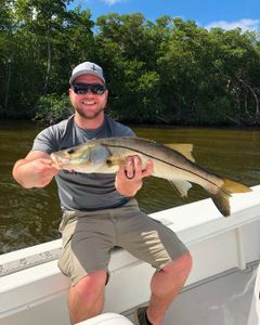 Snook fish caught while fishing in Fort Myers