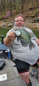 Angler catches crappie fish in AR