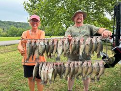 14 fish caught during a fishing trip in Lowell