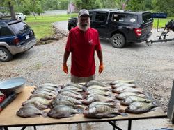 Three fish caught while fishing in AR