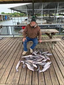 Lake Tawakoni Top Species