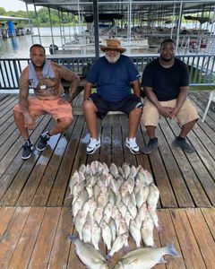 Freshwater Fishing in Quinlan, TX