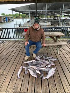 3 small fish caught while fishing in Quinlan