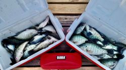 Reeled In Plenty of Crapie in Lake Tawakoni