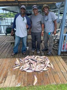Four people enjoying a fishing trip in Quinlan