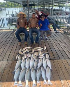 Six striped bass caught in Quinlan