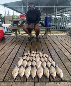Six bluefish caught while fishing in TX