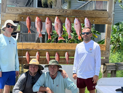 7 fish caught during a fishing trip in Destin