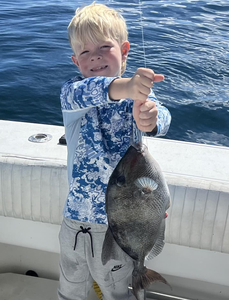 A black drum fish caught by a person in Destin