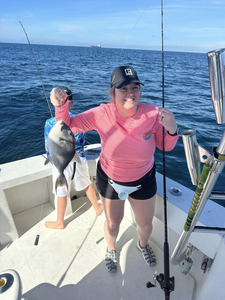 Grey Triggerfish caught while fishing in Destin, Florida