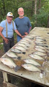 5 great fish caught while fishing at Gore Springs