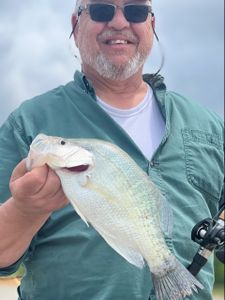 One fisherman fishing in MS