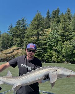 Angler with a lake sturgeon in Chilliwack