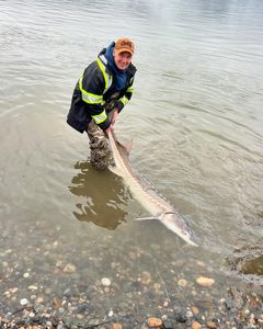 Man enjoys fishing tour in BC