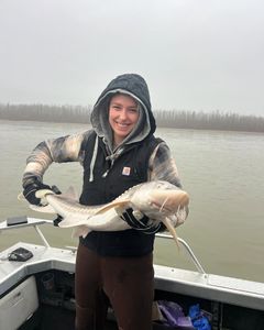 A person fishing in BC