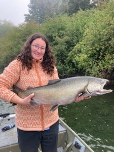 Angler reels in a lake trout in BC