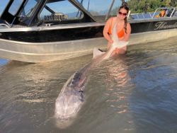 Angler fishing in Chilliwack