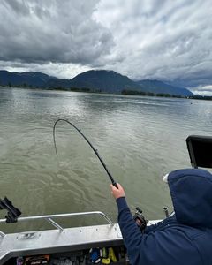 Stunning landscape of Chilliwack, perfect for fishing tours