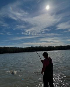Breathtaking view of the Chilliwack landscape during a fishing tour