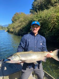 Chum salmon fishing in Chilliwack