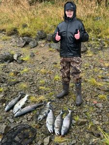 4 fish caught during a fishing tour in Chilliwack