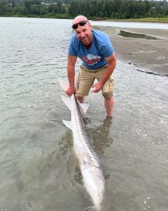 Fishing for white sturgeon in BC
