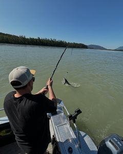 Scenic landscape of BC, Canada