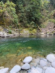 Beautiful landscape with mountains and trees in BC