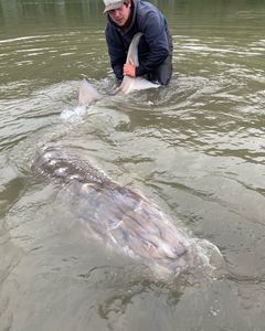 A single angler fishing in Chilliwack