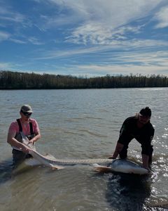 Two people fishing in Chilliwack