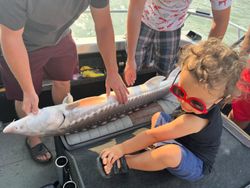 White Sturgeon, fishing in BC