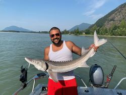 White Sturgeon caught while fishing in Chilliwack