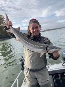 A single white sturgeon fish caught during a fishing tour in Chilliwack
