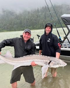 White Sturgeon fish caught during fishing tour in Chilliwack