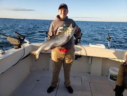 Two Chinook Salmon caught while fishing in Manistee