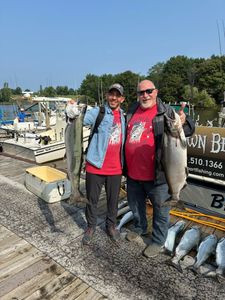 Two coho salmon caught while fishing in Michigan